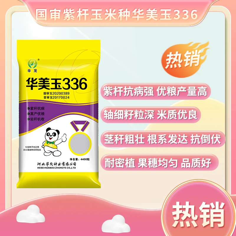 国审华美玉336 春播高产 大棒紫杆 耐病 全能王 耐密植高产种子