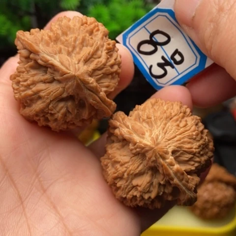 文玩核桃吊坠满天星42