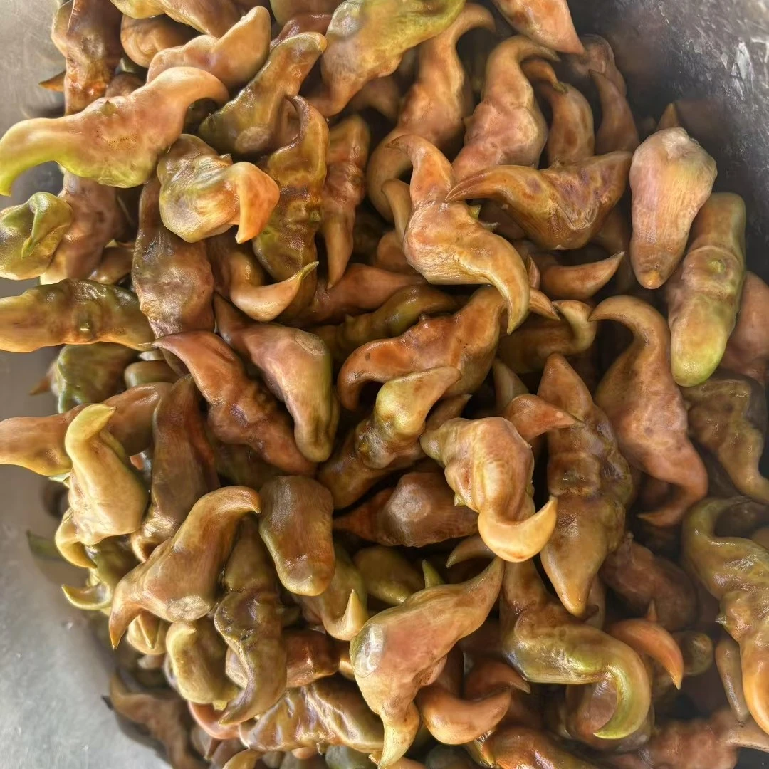 霍邱东湖大青菱角