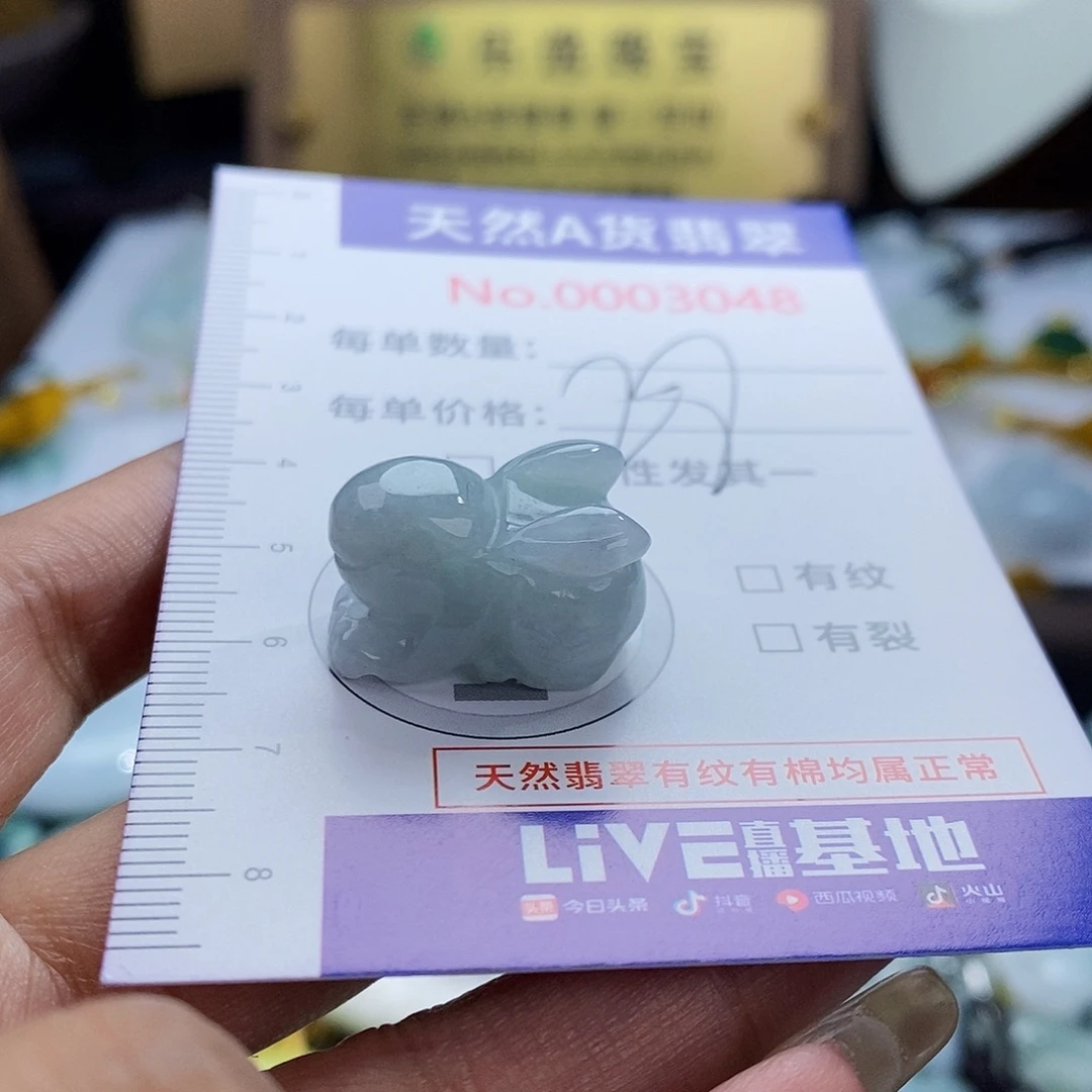翡翠未镶嵌颈饰3048