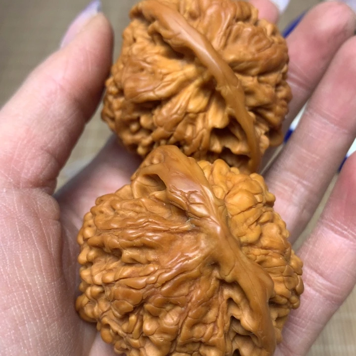 瓷器钵钵钵钵钵钵钵钵钵钵钵