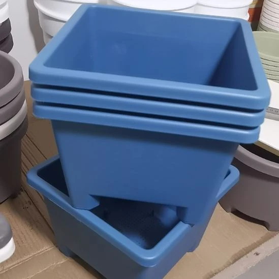 蓝色球根方的三个不带拖