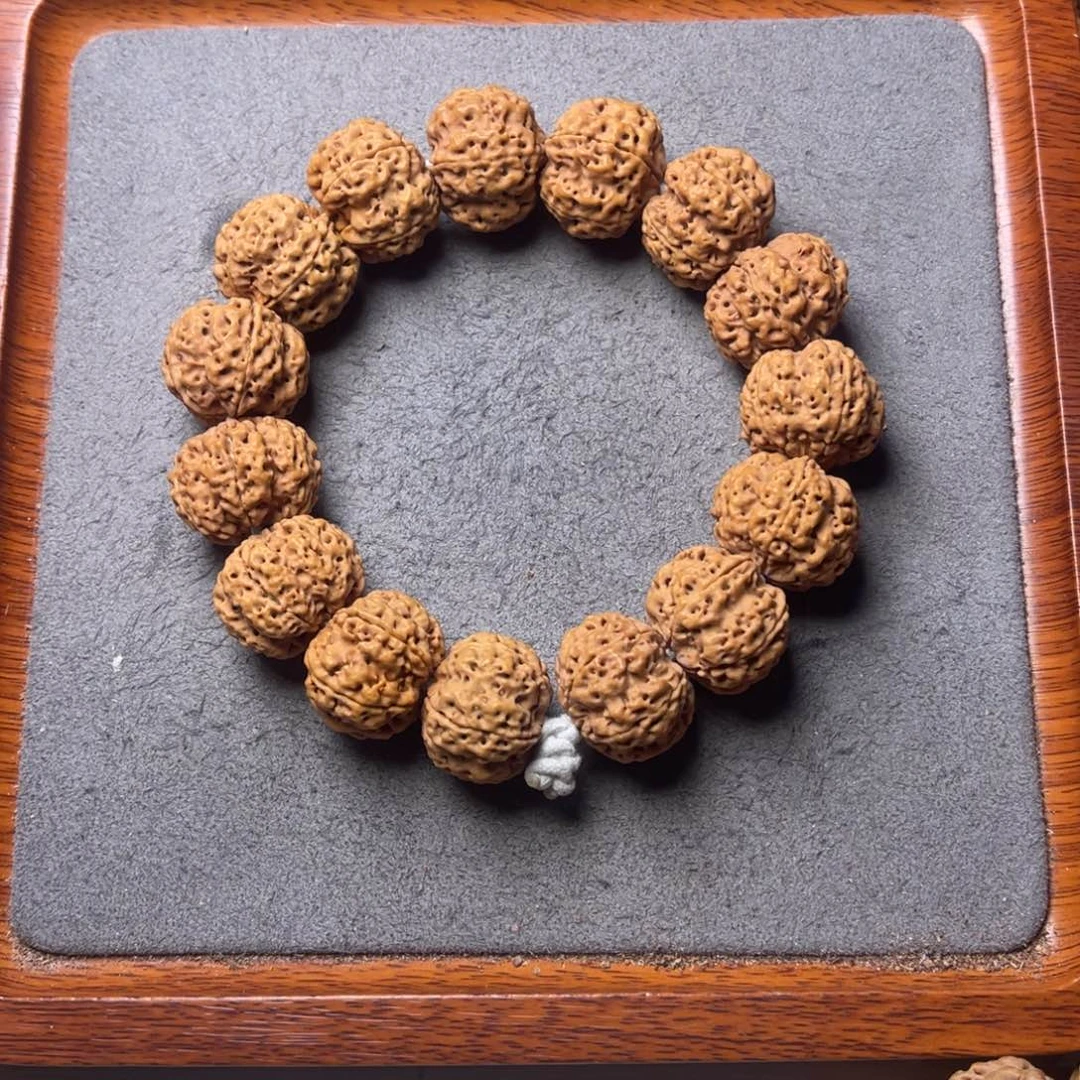 菩提2号金刚菩提深沟梅花22