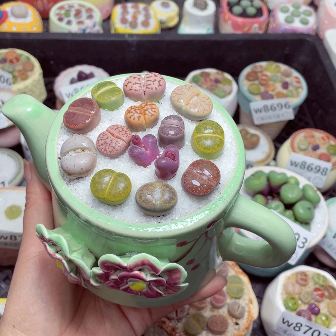 w8708 零下地区拍保温箱-15支持寄养