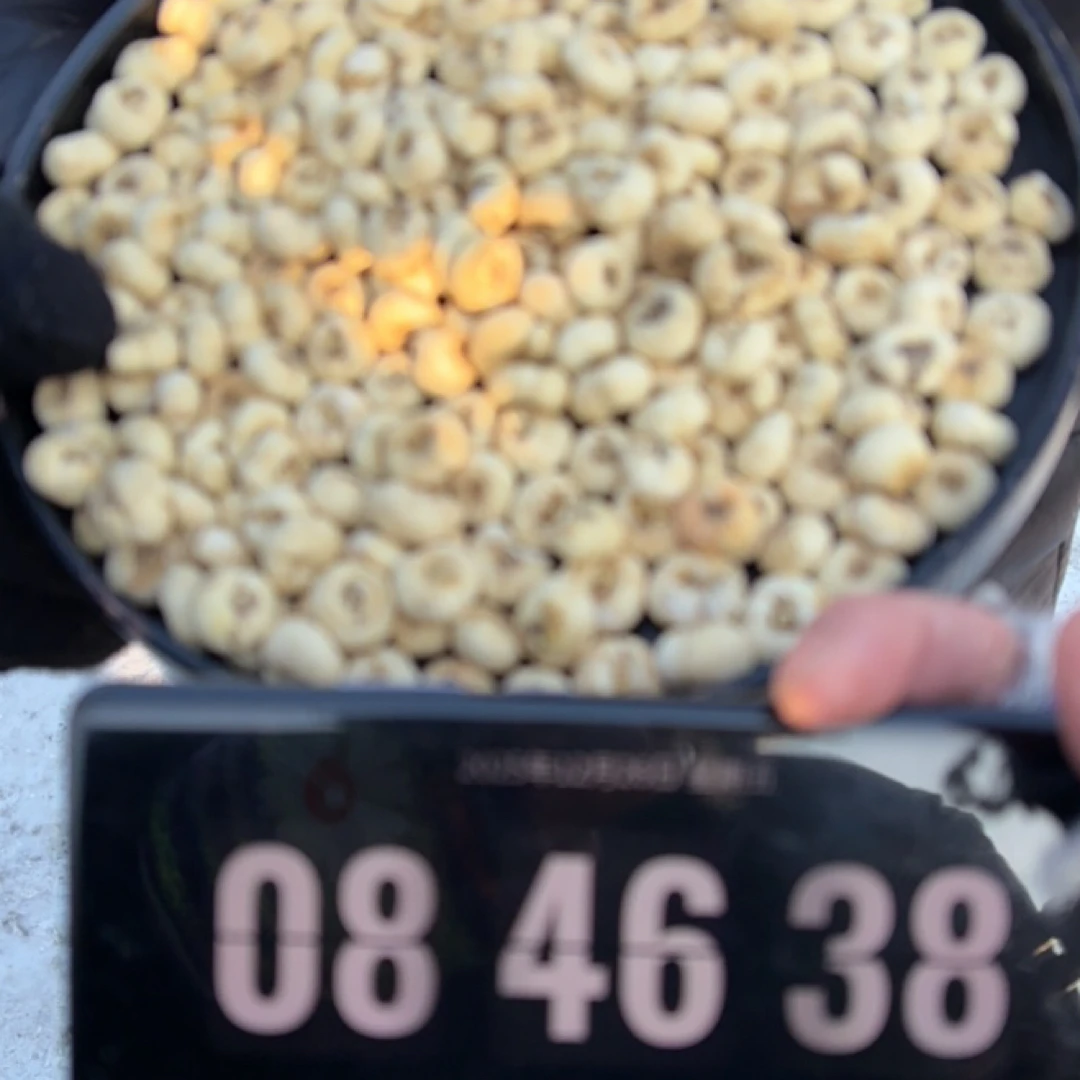 （亿茶小叶）高海拔藏贝母-泡水益身茶 雪山韵