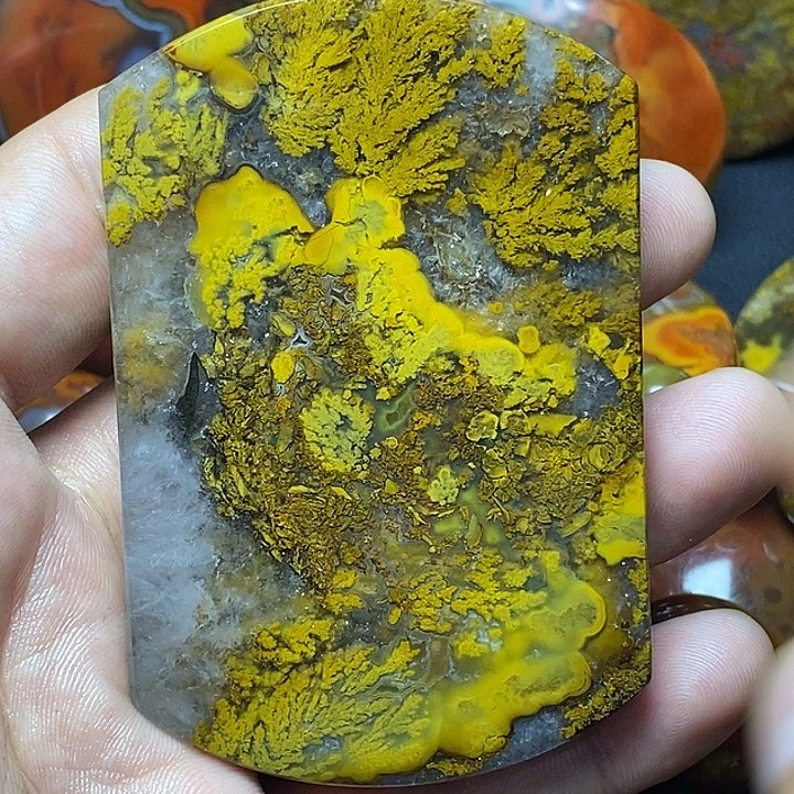 灰***发玛瑙/玉髓未镶嵌战国红