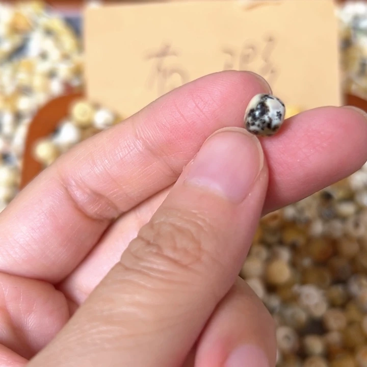 蜜蜡未镶嵌裸石7.5mm一个