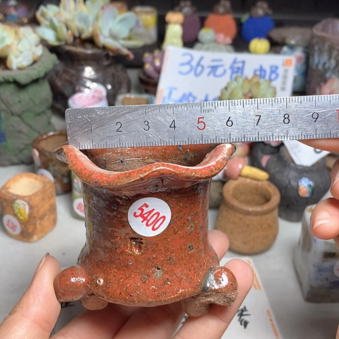 拍3送一个小礼物