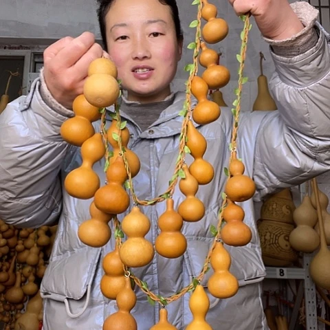 齐****下天然植物葫芦文玩