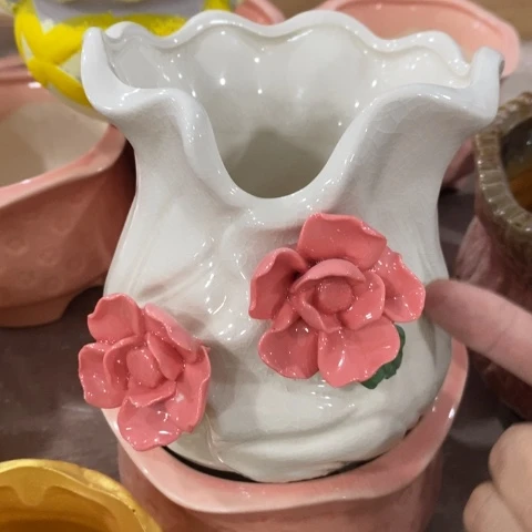 白色白菜31313131