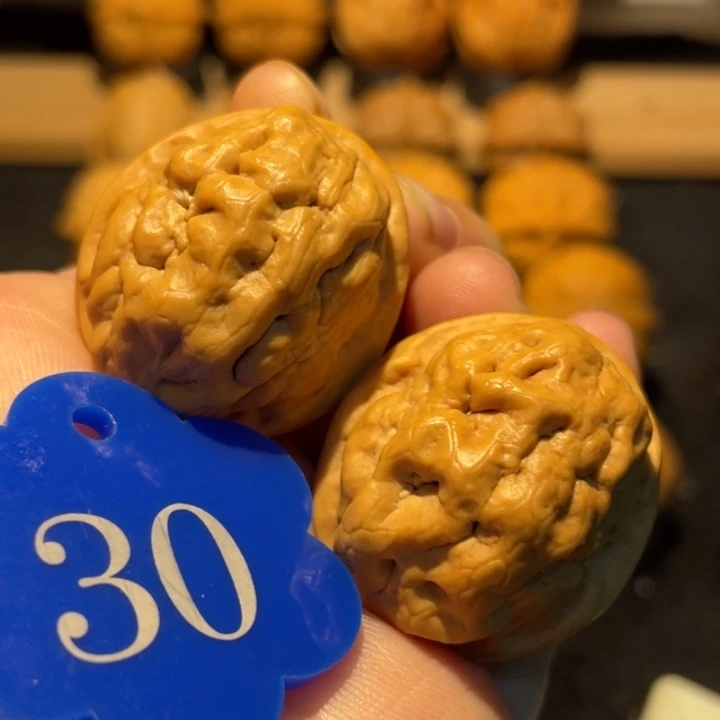 疙瘩包30尺寸核桃