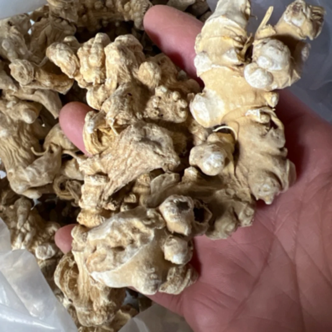 当地野生帝王参（现称重量）