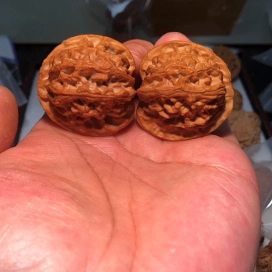 厚***物有机玻璃41苹果哦元