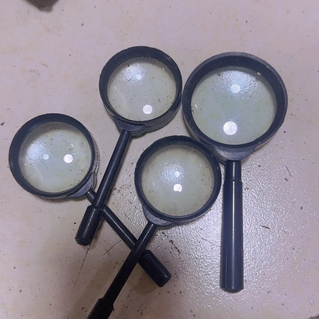 卢氏黑黄檀（大叶紫檀）田*