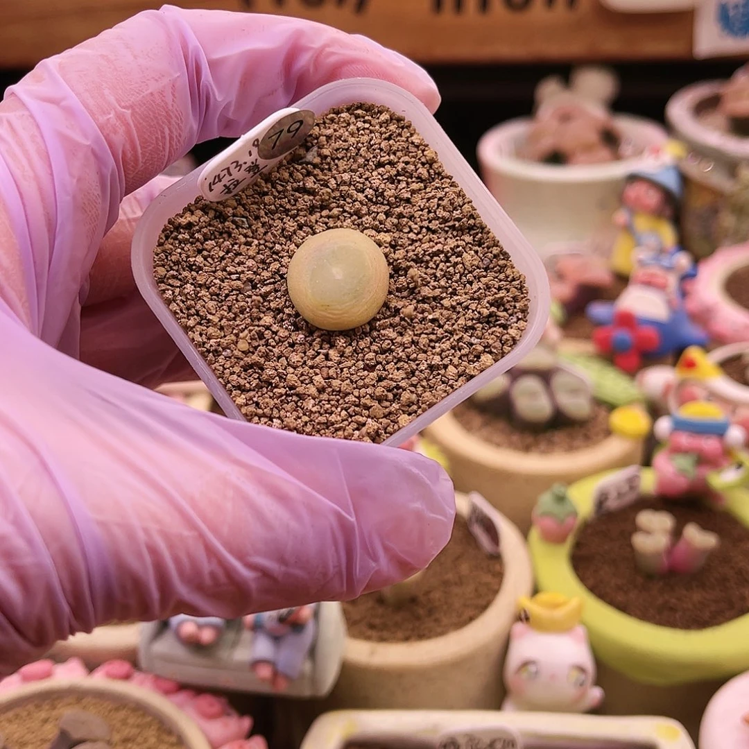 79号控养1473.19拉登