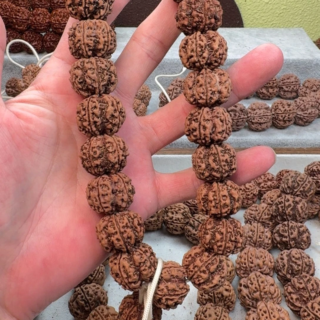 鹤***一金刚菩提手串东方龙