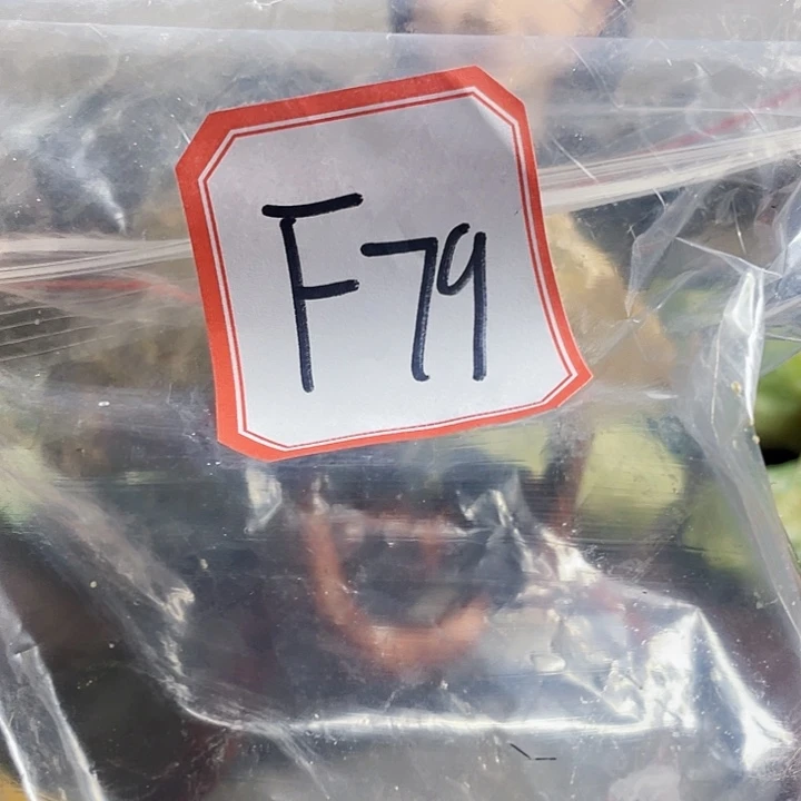 随***矩蛇纹石玉未镶嵌纯天然岫玉