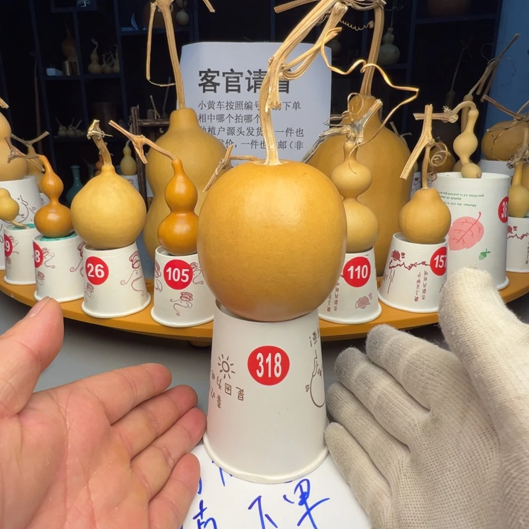 闪电购自助下单编号318