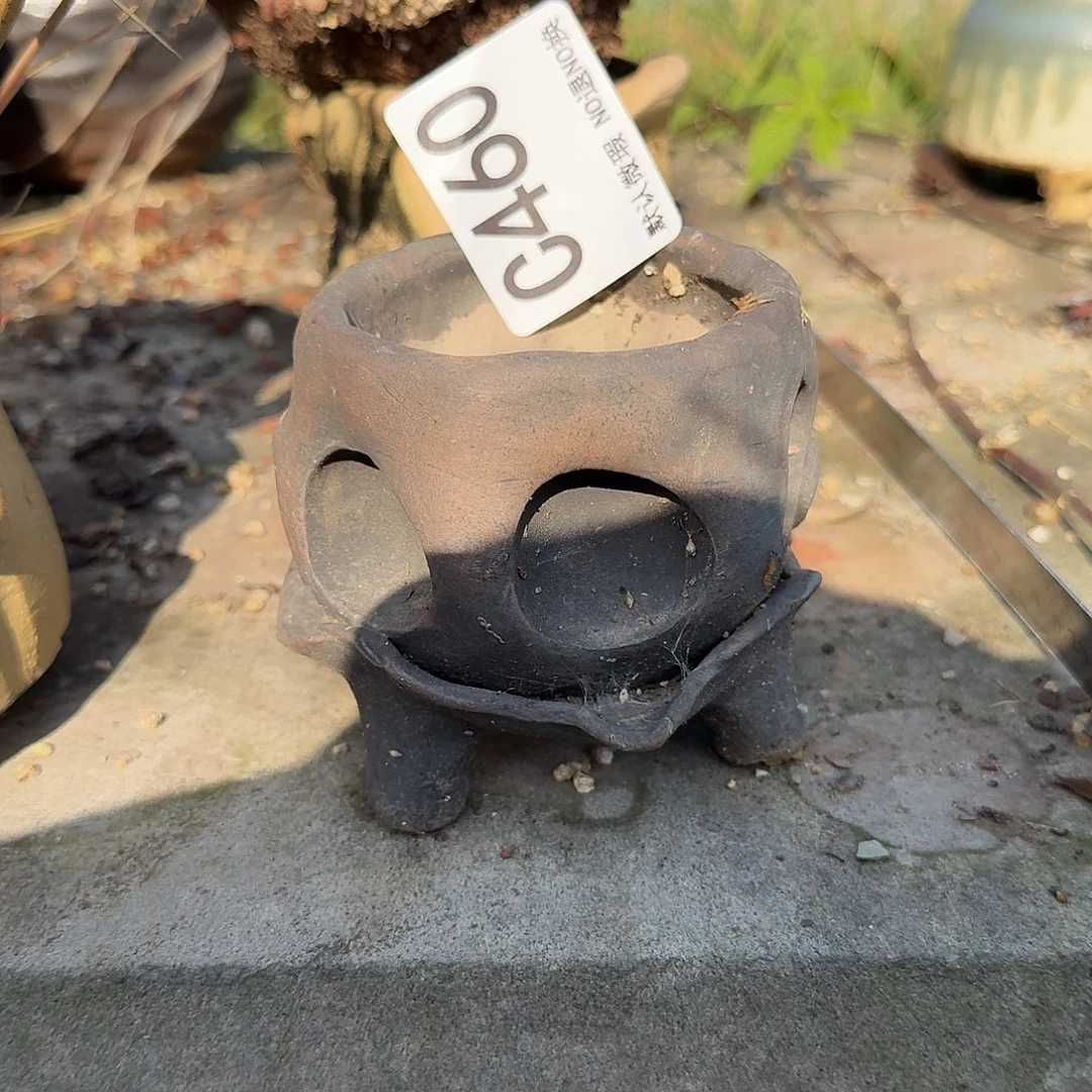 重庆小燕子欢迎大家460