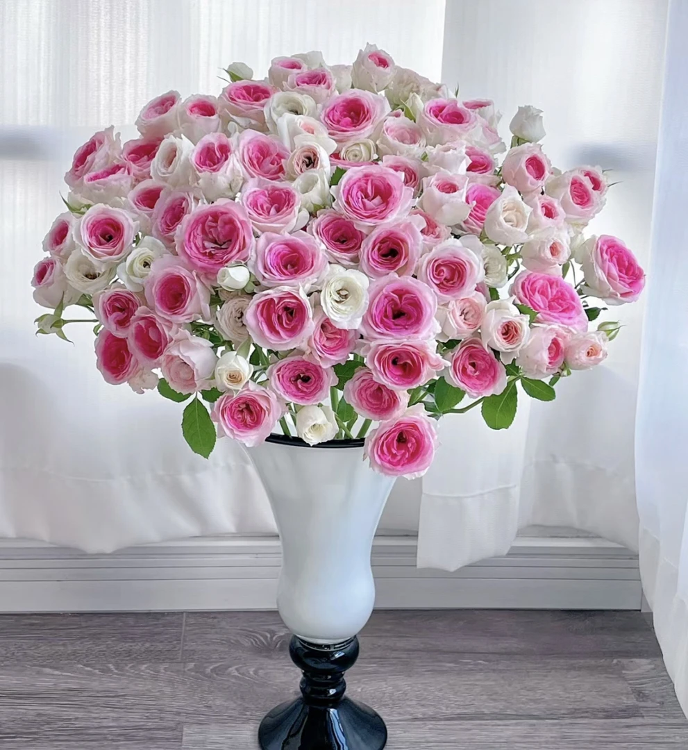 （曼）  午夜魔法8支+2支防损 鲜花任意满2单包邮