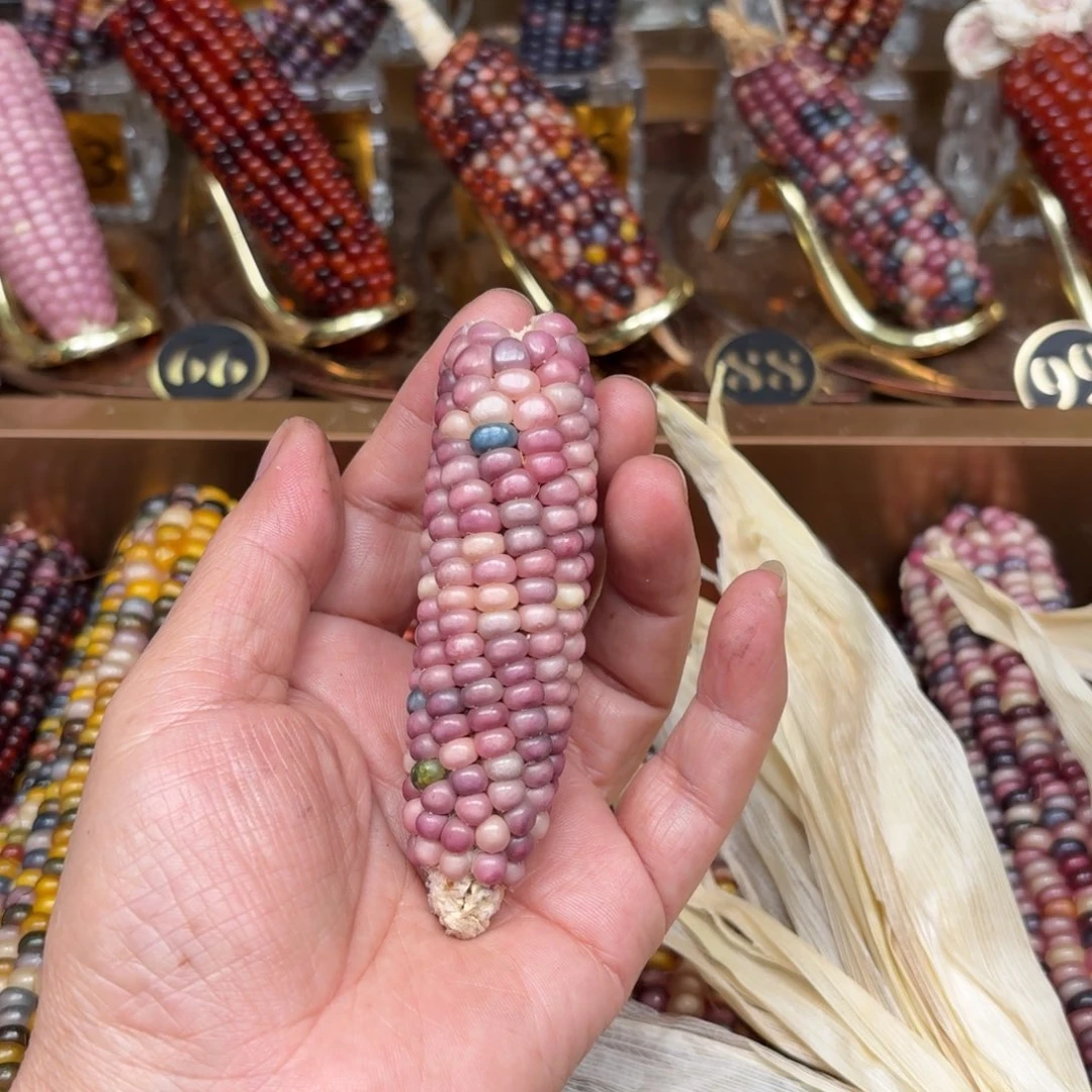 柏香籽/百香籽吊坠ʚ**星