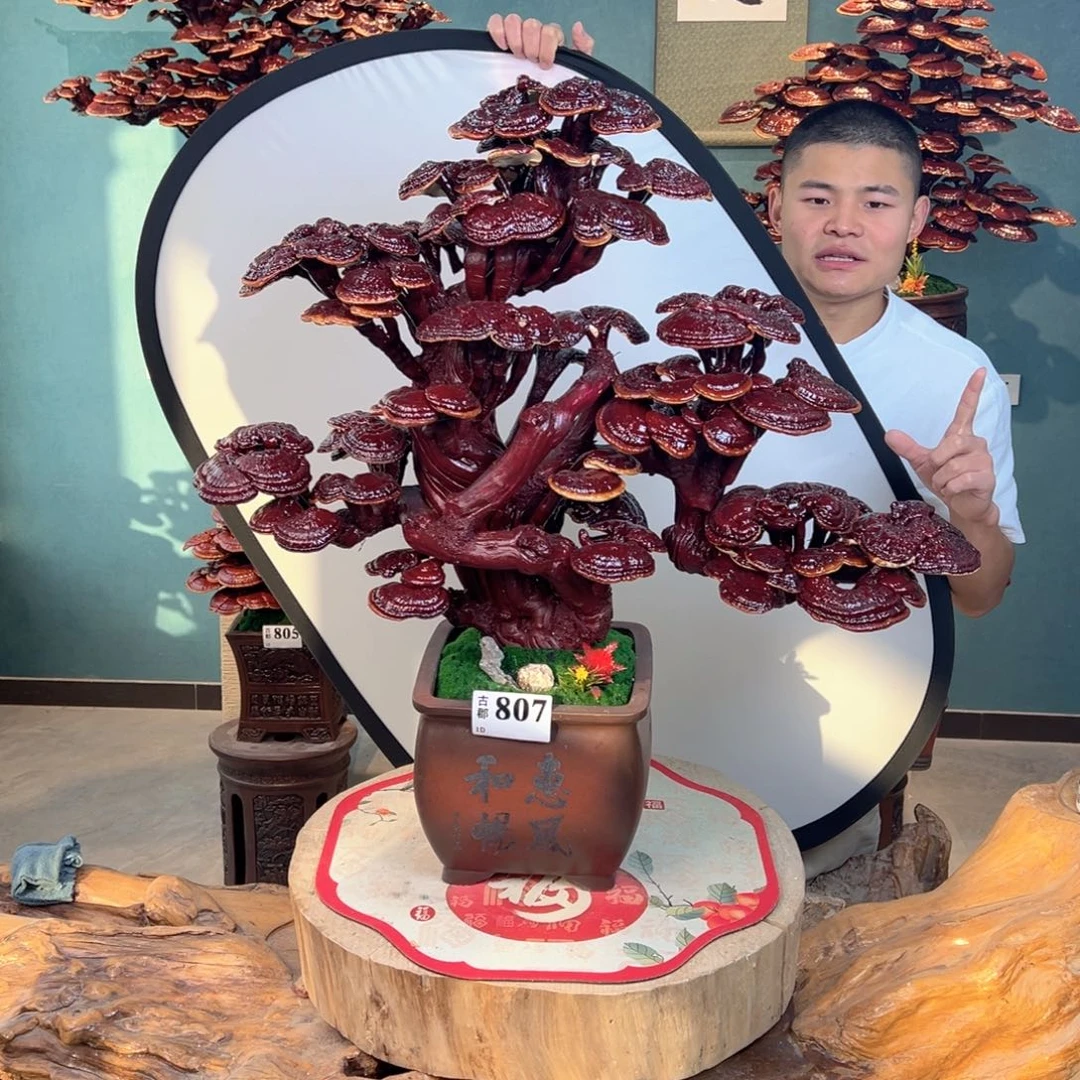 无花朵88888888888