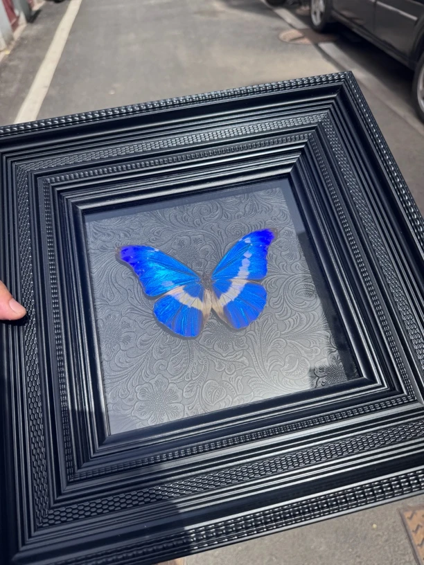 光明女神闪蝶油画欧式高端小众风格