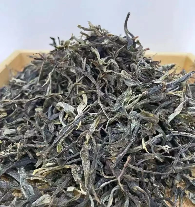 老班章 婉珺隐藏款 全地块匀堆古树头春头采