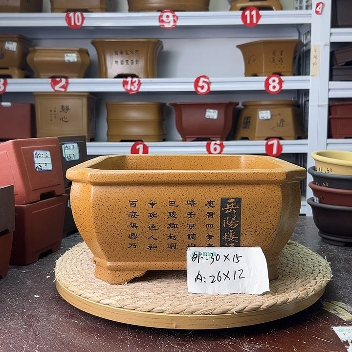 紫砂花盆蛇年大吉