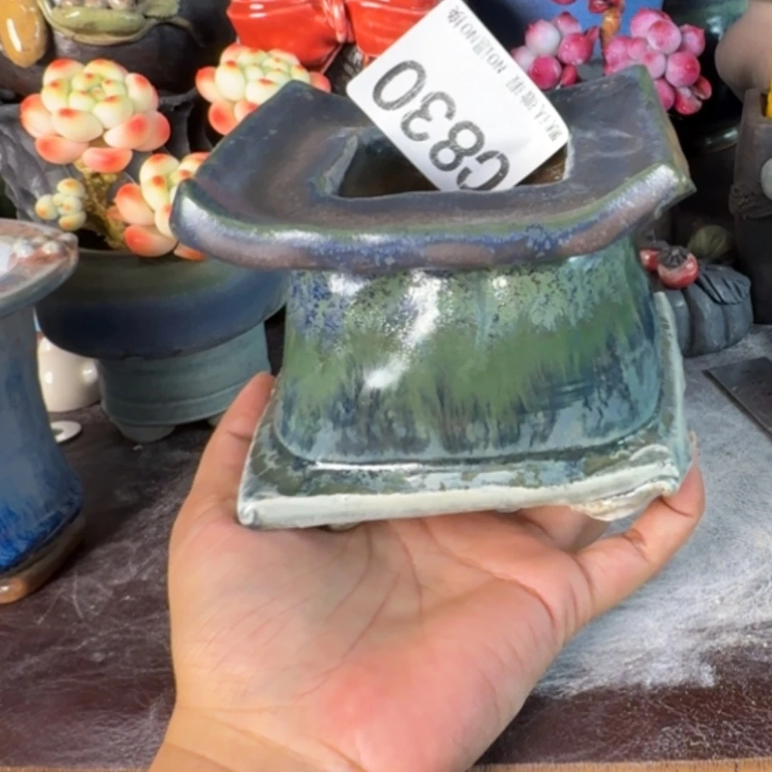 重庆小燕子欢迎大家830