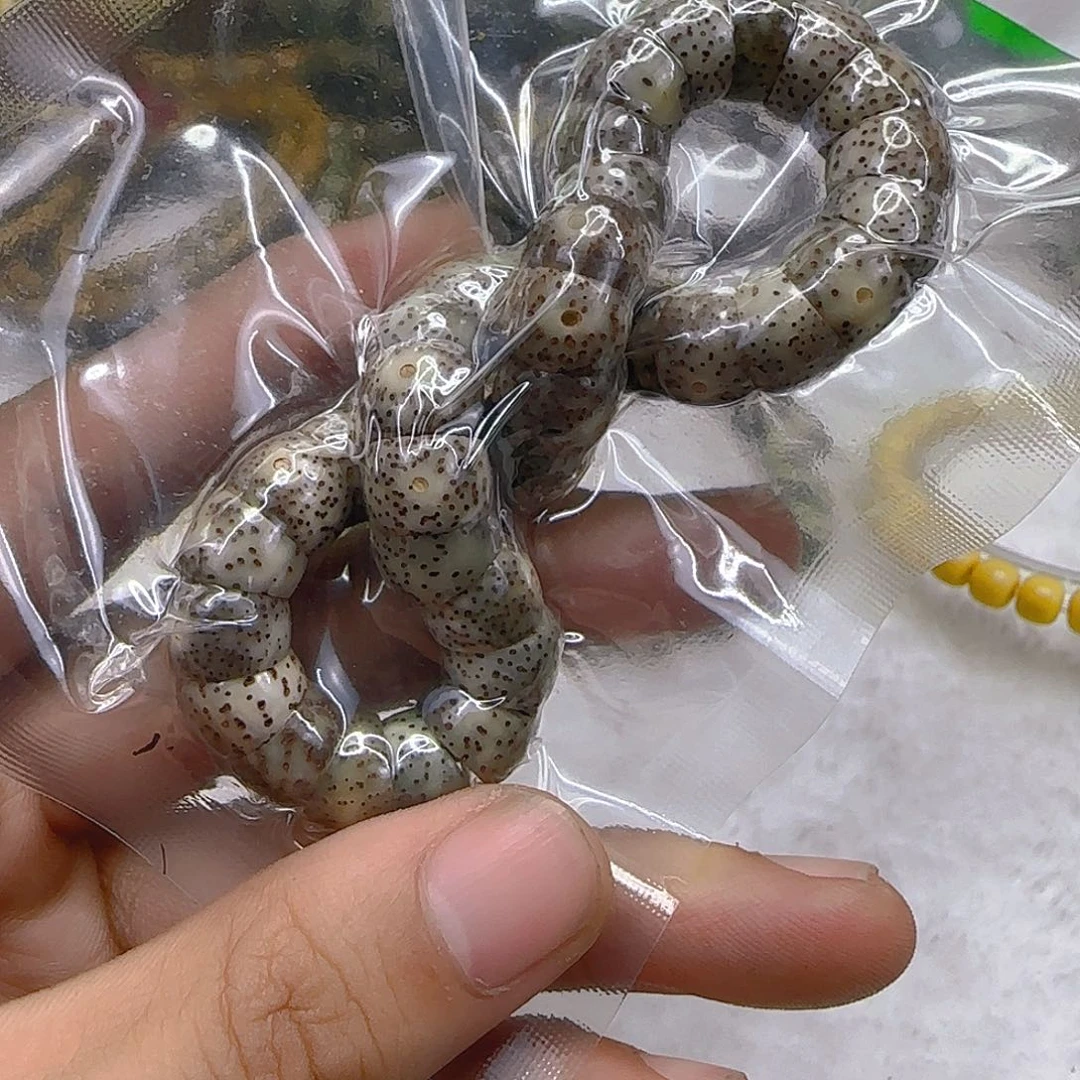 星月菩提手串9荣耀灰猪大肠单圈10左右