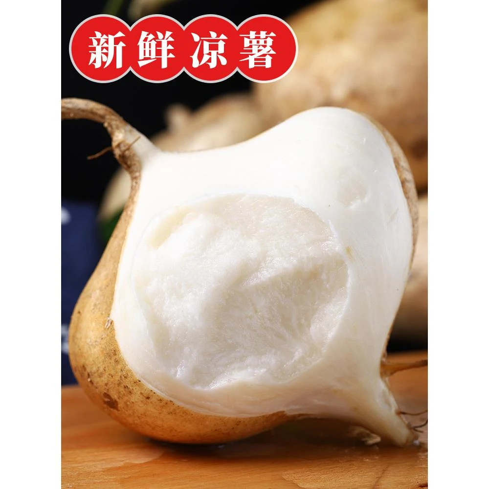 云南凉薯新鲜现挖地瓜白萝卜地萝卜农家特产沙葛土番薯白心即食