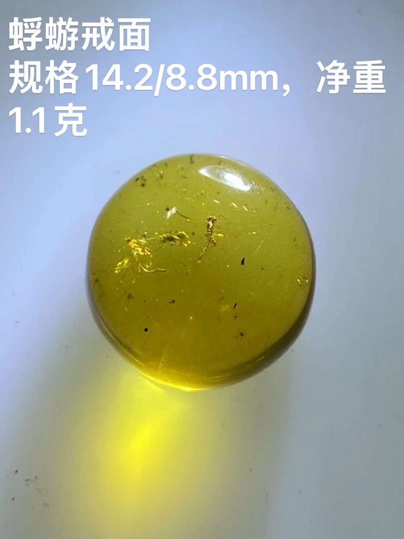 蜉蝣戒面，里面还有蜂与蚊 保存的不错，珀体清晰 可镶嵌佩戴 