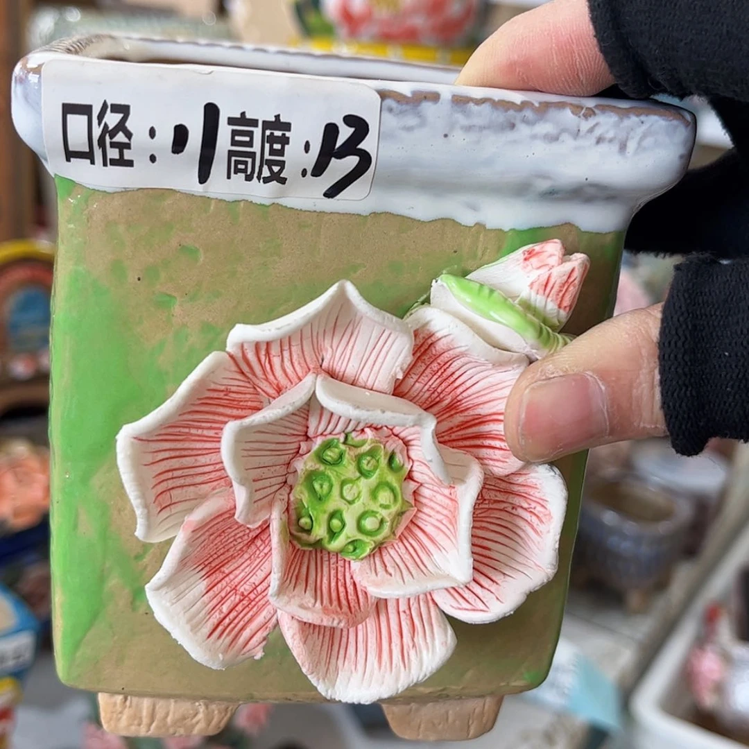 【闪购商品】红陶福利