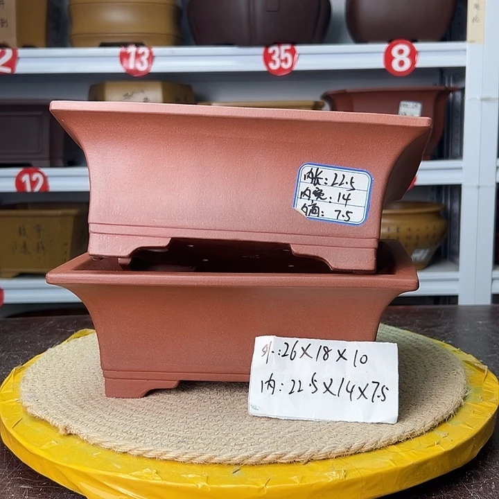 花盆紫砂蛇年大吉