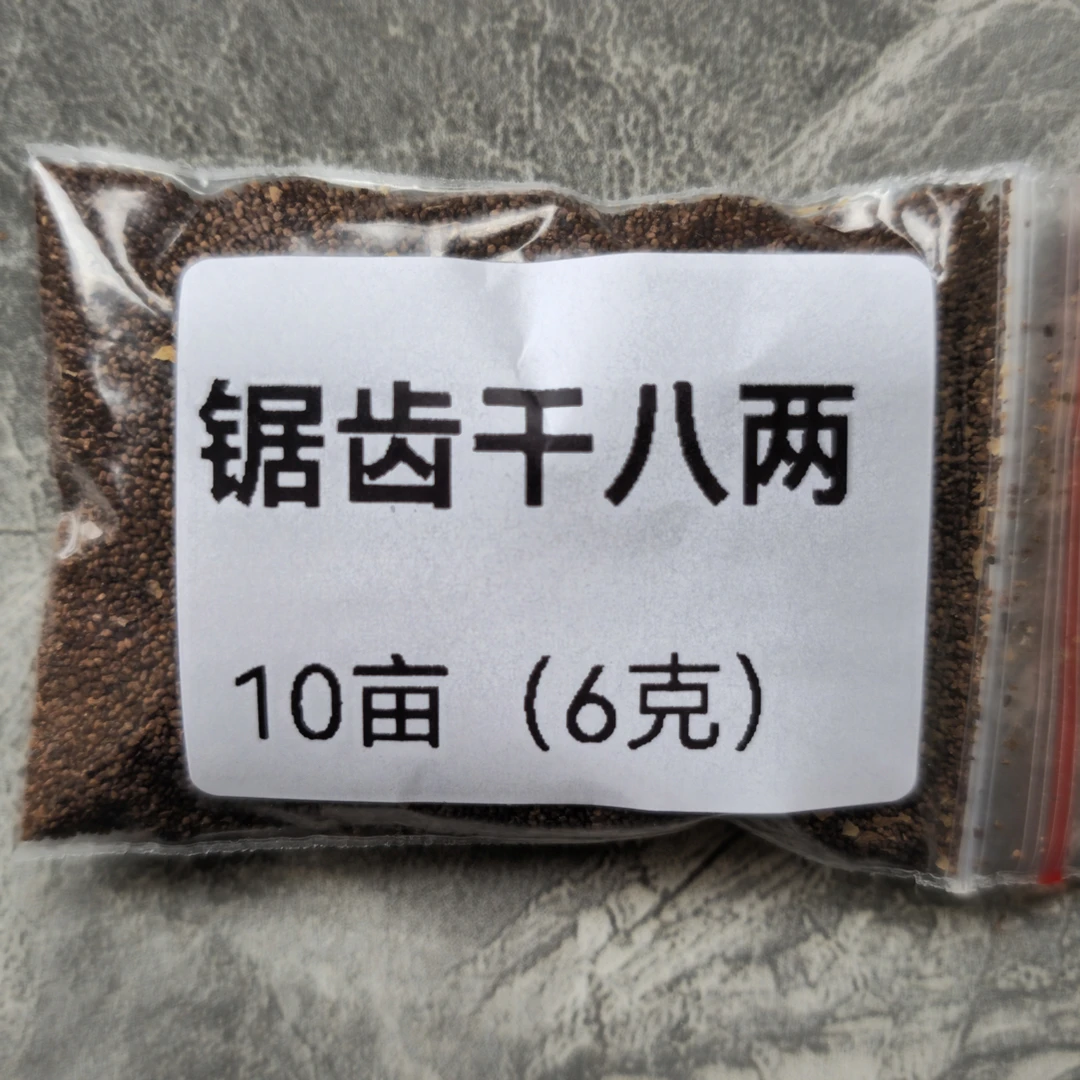 裸种高杆品种适应高海拔种植高产耐肥WH
