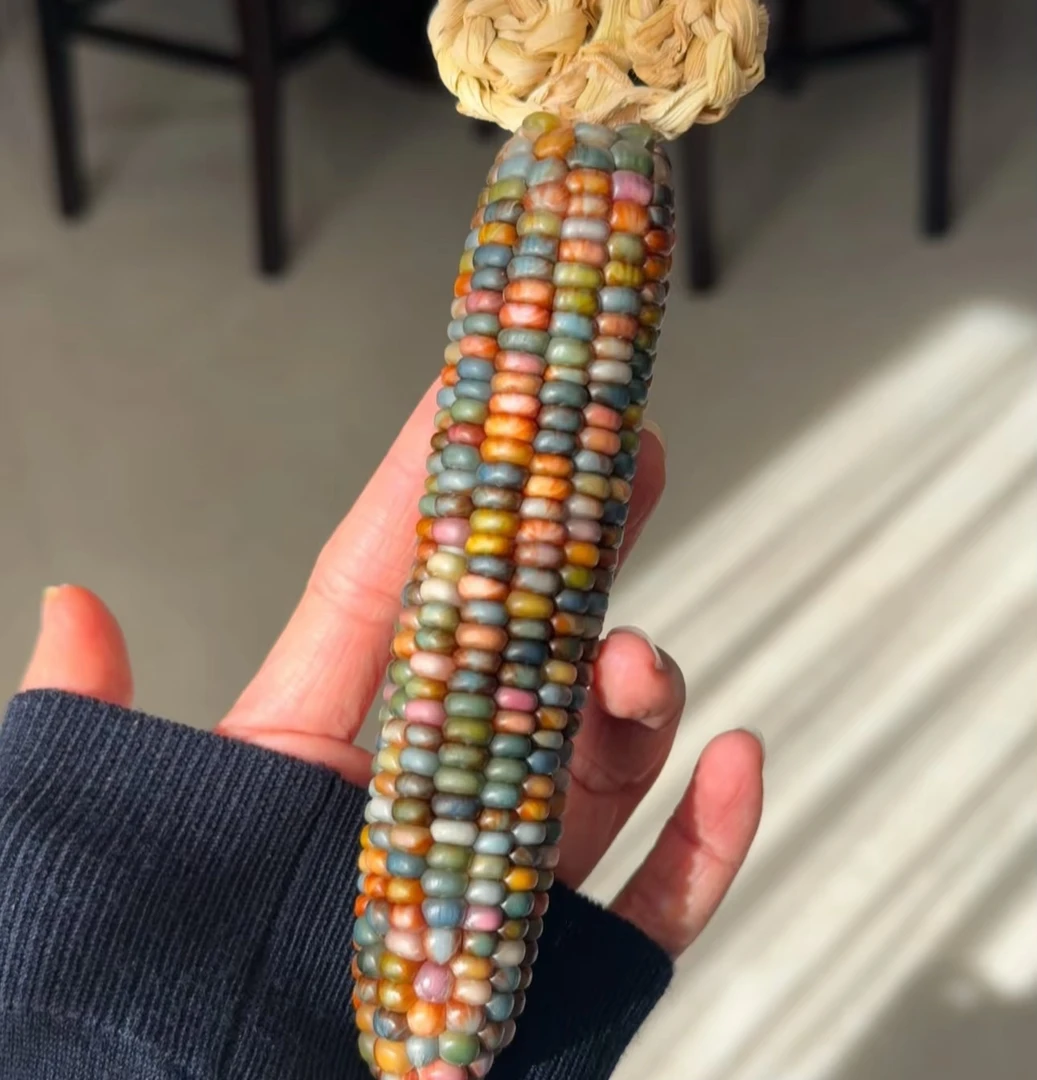 文玩玉米手把件摆件