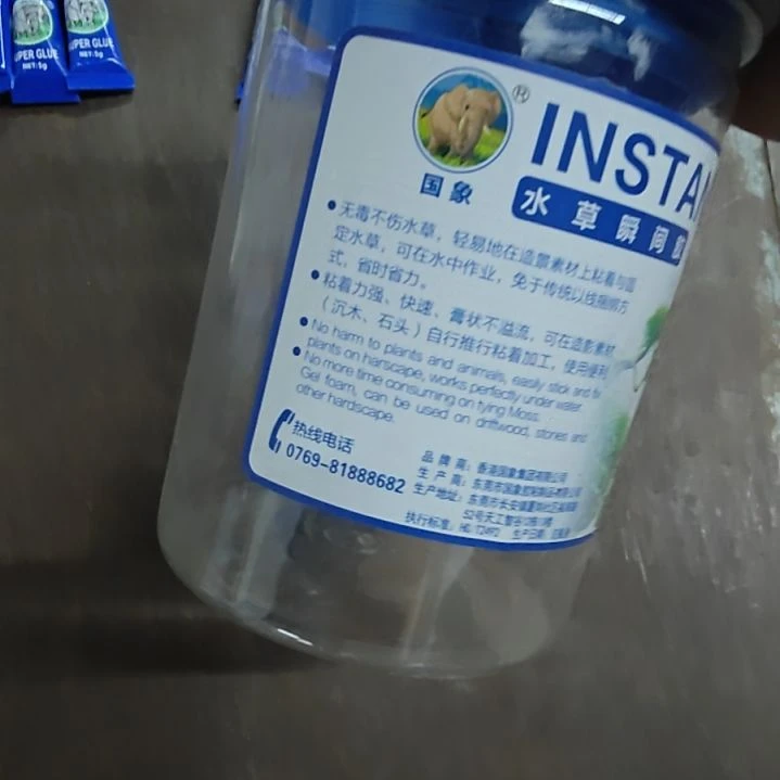 红海倒吊鱼国香水草胶透明色4只