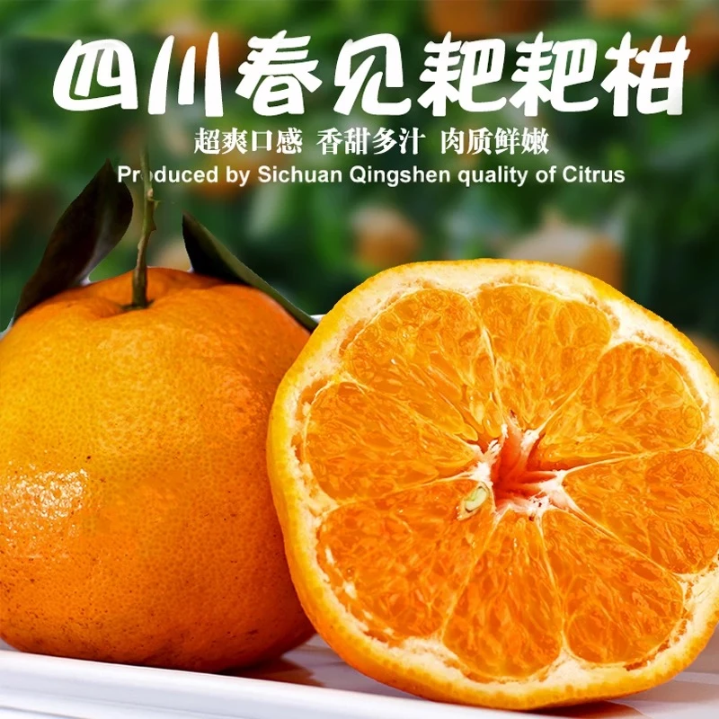 【保温发货】WL正宗四川春见耙耙柑汁水充足皮薄肉厚