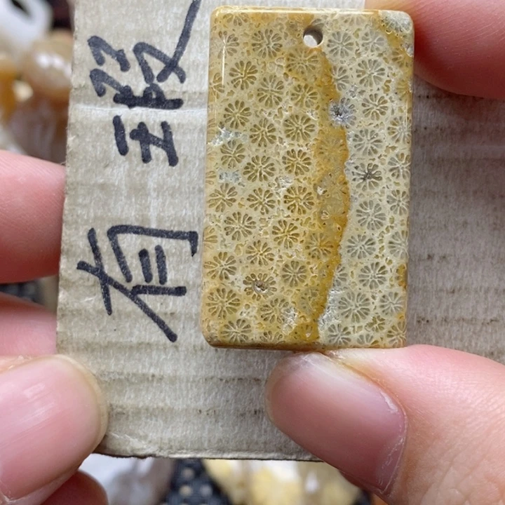 硅化珊瑚（珊瑚玉）颈饰未镶嵌枝*