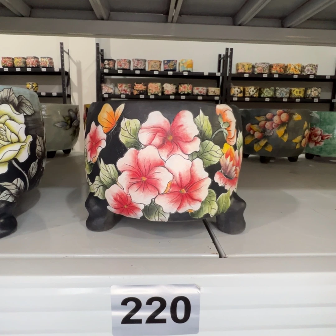 220福利特价樱花圆盆