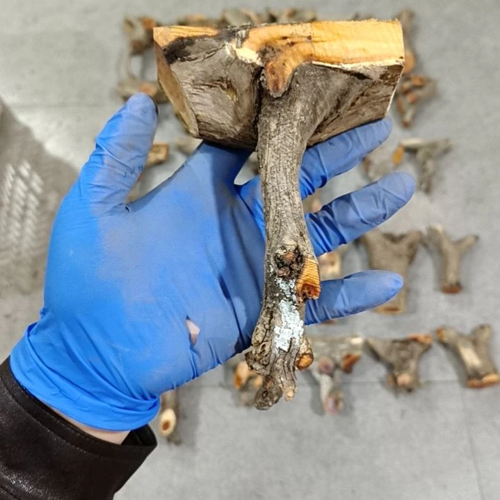 *****香榧木崖柏随行毛料毛料毛料