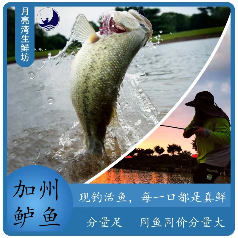 【月亮湾】现钓加州鲈鱼三去开背 400g-500g/条 酸菜鱼冠烤鱼王者