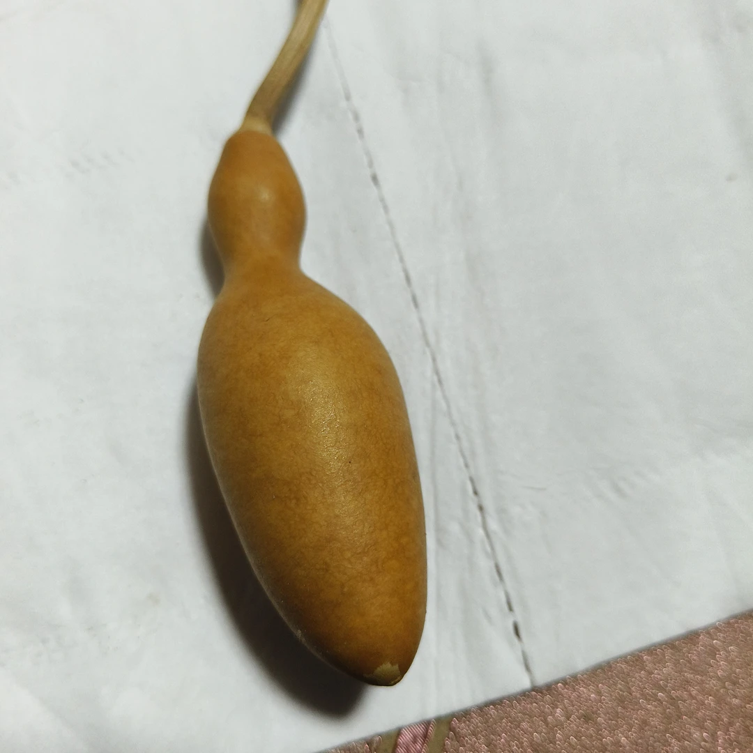 天然小葫芦手把件文玩带龙头适合盘玩的葫芦