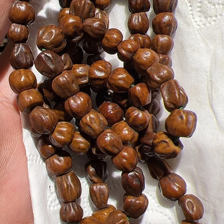 香榧木你的时候你会