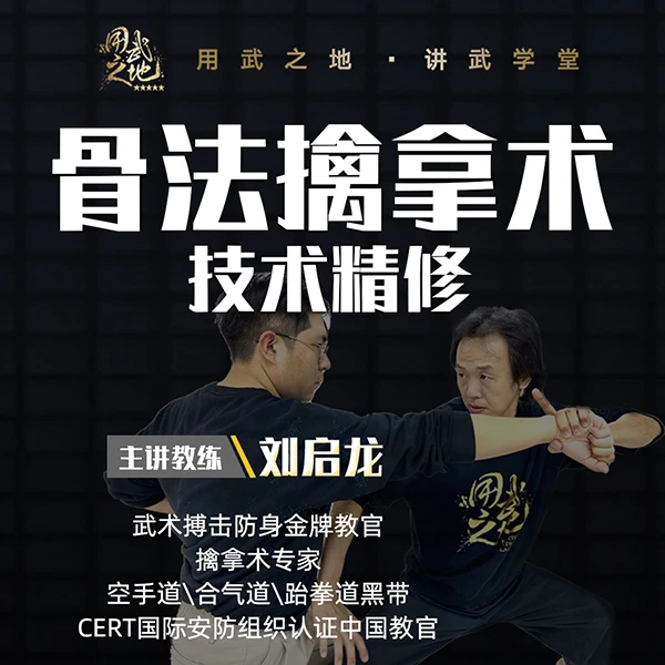 骨法擒拿技术精修课（线上视频非实物，在线观看）