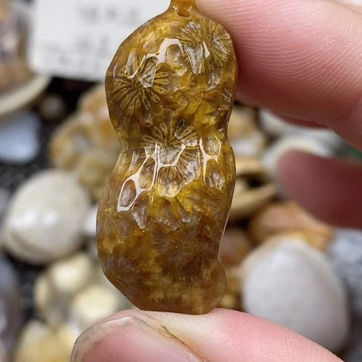 硅化珊瑚（珊瑚玉）未镶嵌颈饰