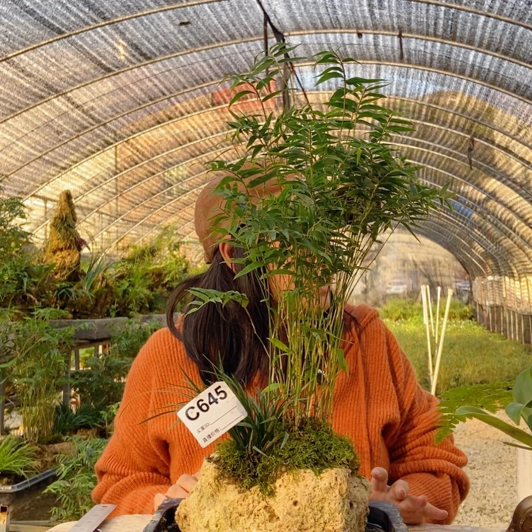 志***成无花朵11111111111