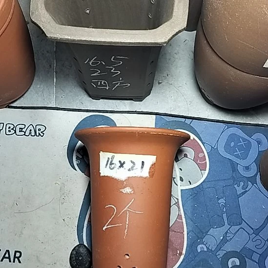 小红兰花两个微瑕