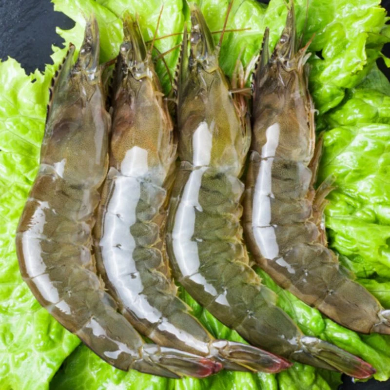 2030规格大号海洋大虾活虾速冻整盒发货到手40只左右20251.24